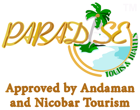 Study Abroad Consultants in Indore 2024